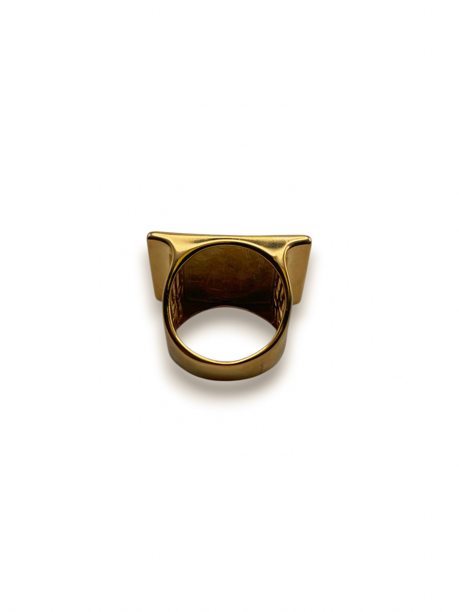 Anillo Onyx Rectángulo León – Vanguardia y Contraste